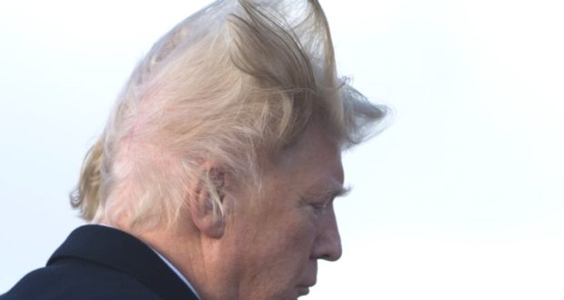 trump hair